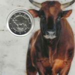 Coincard Malta 2025 2 Euro Commemorativi