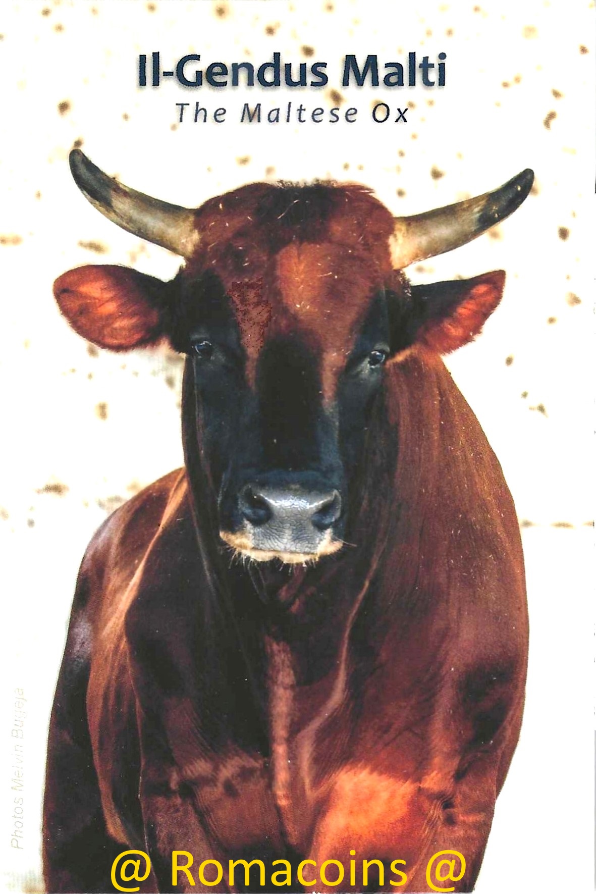 Coincard Malta 2025 2 Euro Commemorativi Mucca